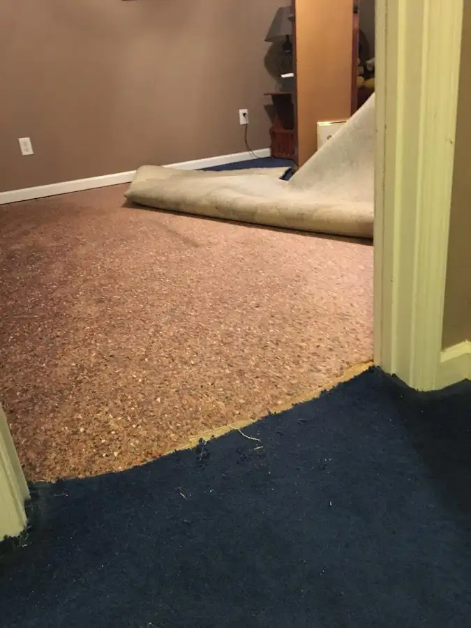 Carpet pad removal revealing water damage during Drying & Dehumidification in Doolittle