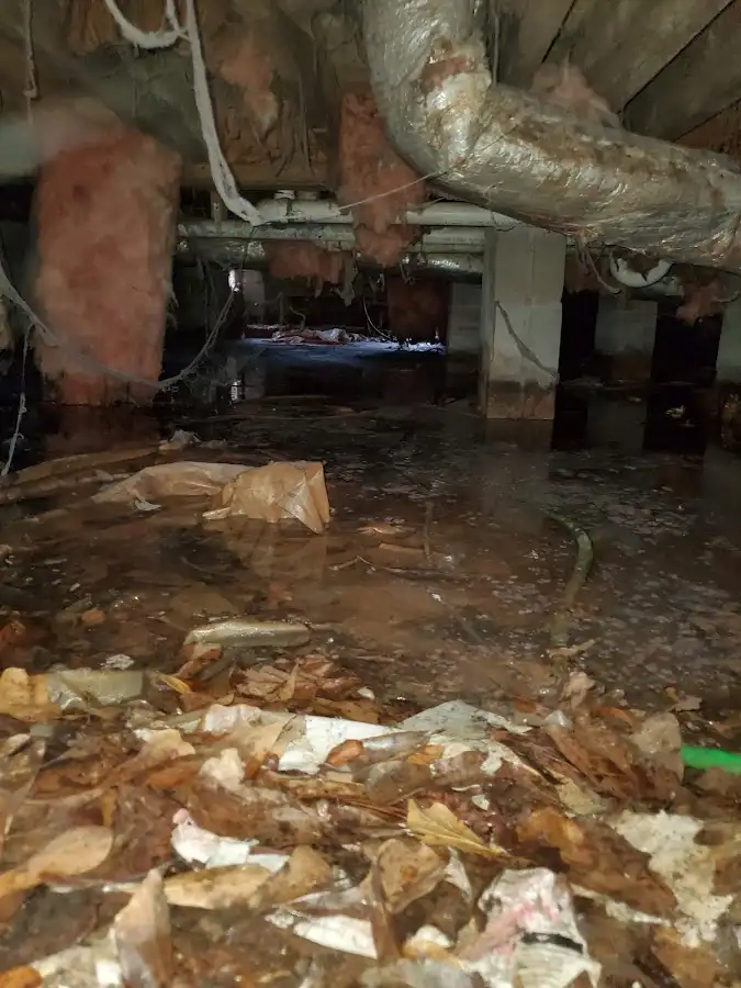 Crawl space flood assessment for Leak Detection & Repair in Doolittle