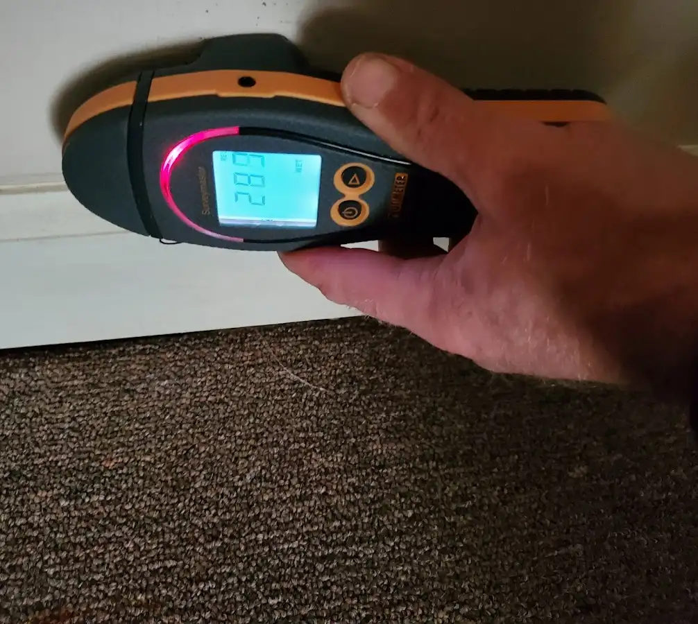 Moisture detection at baseboard during Mold Inspection & Testing in Doolittle